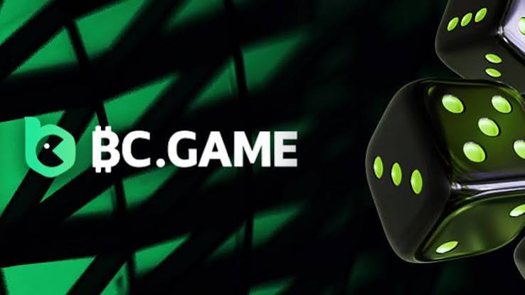 Everything You Need to Know About BC.Game India